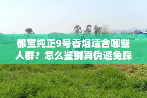 都宝纯正9号香烟适合哪些人群？怎么鉴别真伪避免踩坑？